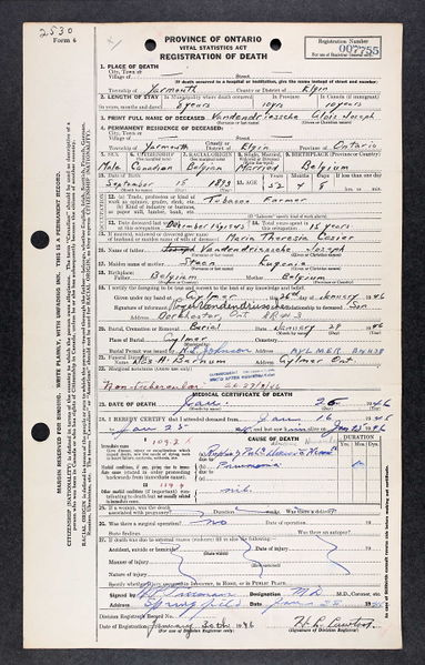 File:Death cert for Alois.jpg
